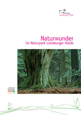 Naturwunder Im Naturpark Lüneburger Heide 2 | 3