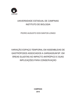Universidade Estadual De Campinas Instituto De