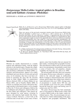 Ibotyporanga Mello-Leitão: Tropical Spiders in Brazilian Semi-Arid Habitats (Araneae: Pholcidae)