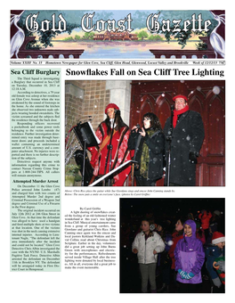 Snowflakes Fall on Sea Cliff Tree Lighting