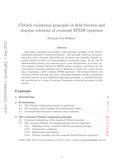 Clebsch Variational Principles in Field Theories and Singular Solutions Of