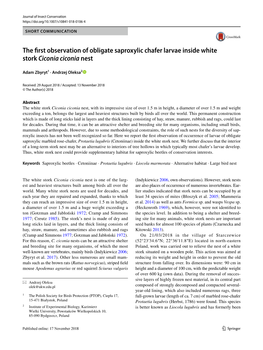 The First Observation of Obligate Saproxylic Chafer Larvae Inside White Stork Ciconia Ciconia Nest