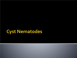 Cyst Nematodes Are Thought to Have Evolved the Sedentary Lifestyle Independently