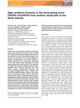 High Symbiont Diversity in the Bone‐Eating Worm Osedax Mucofloris