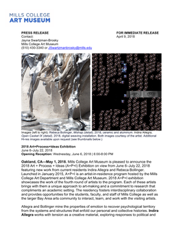 (A+P+I) Exhibition on View from June 6–July 22, 2018 Featuring New Work from Current Residents Indira Allegra and Rebeca Bollinger