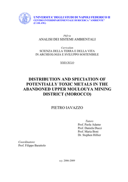 Phd Thesis Iavazzo