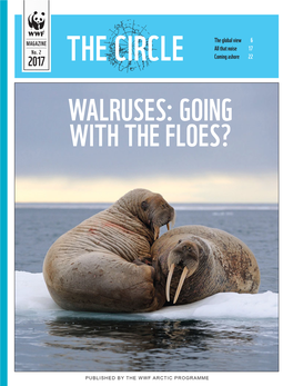 Walruses: Going with the Floes?