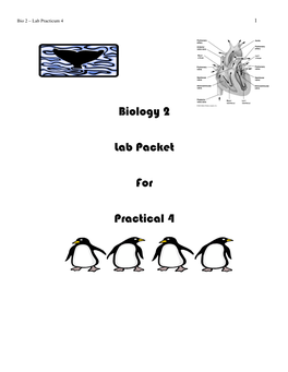 Biology 2 Lab Packet for Practical 4