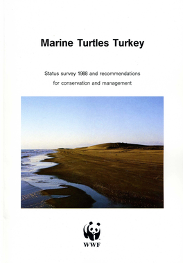 Marine Turtles Turkey
