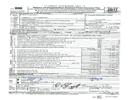 2017 Federal 990 and 990-T (PDF)