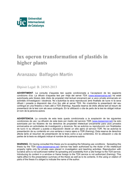 Lux Operon Transformation of Plastids in Higher Plants