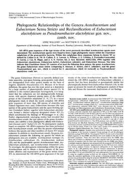 Acetobacterium and Eubacterium Sensu Strict0 and Reclassification of Eubacterium Alactolyticum As Pseudoramibacter Alactolyticus Gen