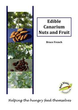 Edible Canarium Nuts and Fruit