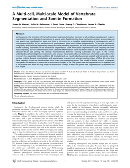 A Multi-Cell, Multi-Scale Model of Vertebrate Segmentation and Somite Formation