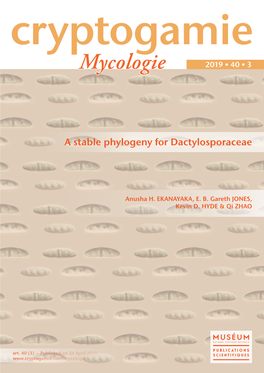 A Stable Phylogeny for Dactylosporaceae