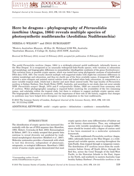 Here Be Dragons Phylogeography of Pteraeolidia