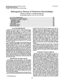 Multiregulatory Element of Filamentous Bacteriophages NORTON D