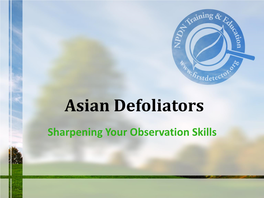 Asian Defoliators Sharpening Your Observation Skills Objectives