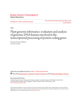 Plant Genome Informatics: Evaluation and Analysis of Genomic DNA Features Involved in the Transcriptional Processing of Protein