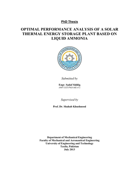 Optimal Performance Analysis of a Solar Thermal Energy Storage Plant Based on Liquid Ammonia