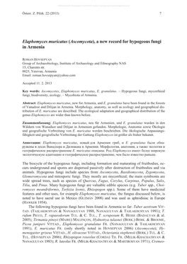 Elaphomyces Muricatus (Ascomycota), a New Record for Hypogeous Fungi in Armenia