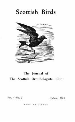 Scottish Birds