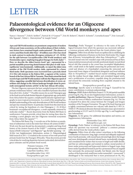 Palaeontological Evidence for an Oligocene Divergence Between Old World Monkeys and Apes