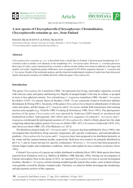 A New Species of Chrysosphaerella (Chrysophyceae: Chromulinales), Chrysosphaerella Rotundata Sp. Nov., from Finland