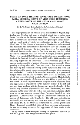 Notes on Some Mexican Sugar Cane Insects from Santa Lucrecia, State of Vera Cruz, Including a Description of the Sugar Cane Tingid from Mexico