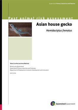 Asian House Gecko Hemidactylus Frenatus