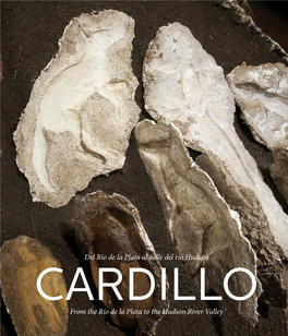 Catalogo-Cardillo-MNAV-Web.Pdf