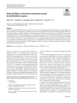 Bacterial Blight on Dracaena Sanderiana Caused by Burkholderia