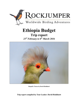 Ethiopia Budget Trip Report