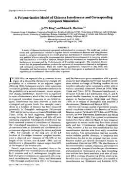 A Polymerization Model of Chiasma Interference and Corresponding Computer Simulation