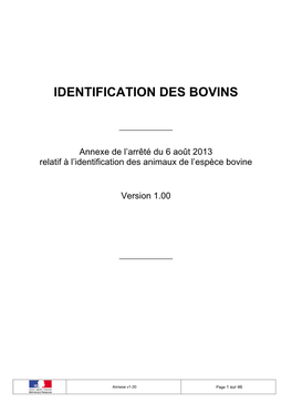 Identification Des Bovins