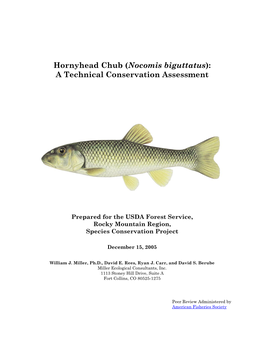 Hornyhead Chub (Nocomis Biguttatus): a Technical Conservation Assessment