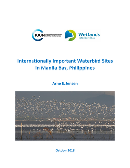 Internationally Important Waterbird Sites in Manila Bay, Philippines