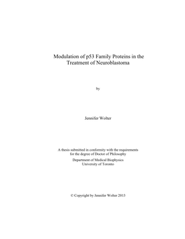 Modulation of P53 Family Proteins in the Treatment of Neuroblastoma