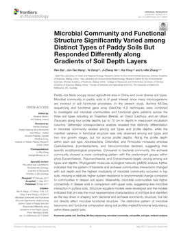 Microbial Community and Functional Structure Significantly Varied Among Distinct Types of Paddy Soils but Responded Differently Along Gradients of Soil Depth Layers