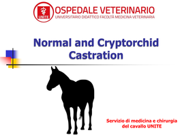 Normal and Cryptorchid Castration