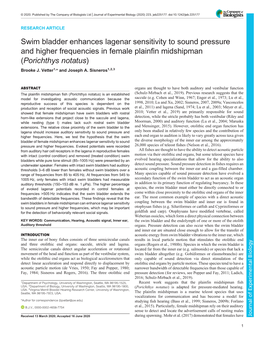 Swim Bladder Enhances Lagenar Sensitivity to Sound Pressure and Higher Frequencies in Female Plainfin Midshipman (Porichthys Notatus) Brooke J