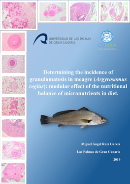 Argyrosomus Regius): Modular Effect of the Nutritional