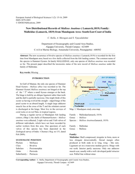 Malleidae (Lamarck, 1819) from Mandapam Area -South East Coast of India