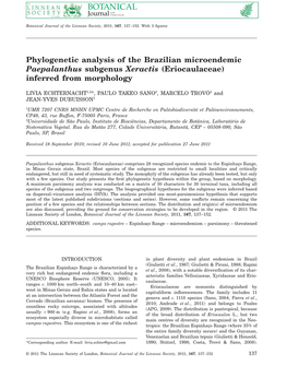 Phylogenetic Analysis of the Brazilian Microendemic Paepalanthus Subgenus Xeractis (Eriocaulaceae) Inferred from Morphology