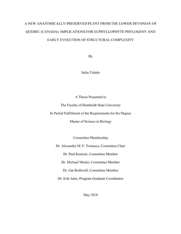 A New Anatomically-Preserved Plant from the Lower Devonian of Quebec (Canada): Implications for Euphyllophyte Phylogeny and Early Evolution of Structural Complexity