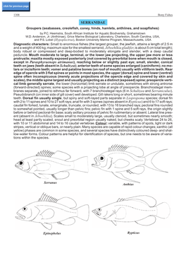 SERRANIDAE Groupers (Seabasses, Creolefish, Coney, Hinds, Hamlets, Anthiines, and Soapfishes) by P.C