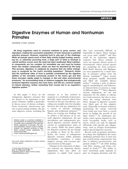 Digestive Enzymes of Human and Nonhuman Primates