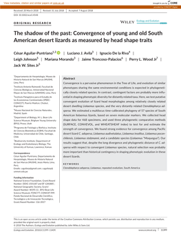 Convergence of Young and Old South American Desert Lizards As Measured by Head Shape Traits