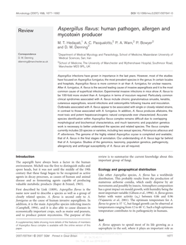 Aspergillus Flavus: Human Pathogen, Allergen and Mycotoxin Producer