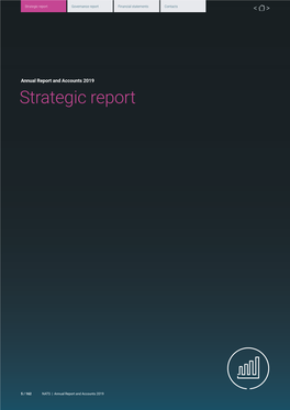 Strategic Report